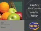 Montez website screenshot