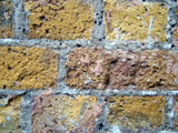 Bricks on the wall of our building